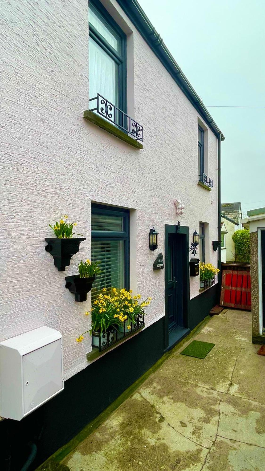 Beautiful Mumbles/Gower Cottage Swansea Bagian luar foto